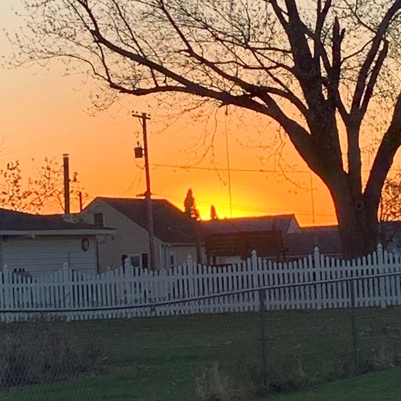 Meet your Posher, Addy - Picture 1 of 1